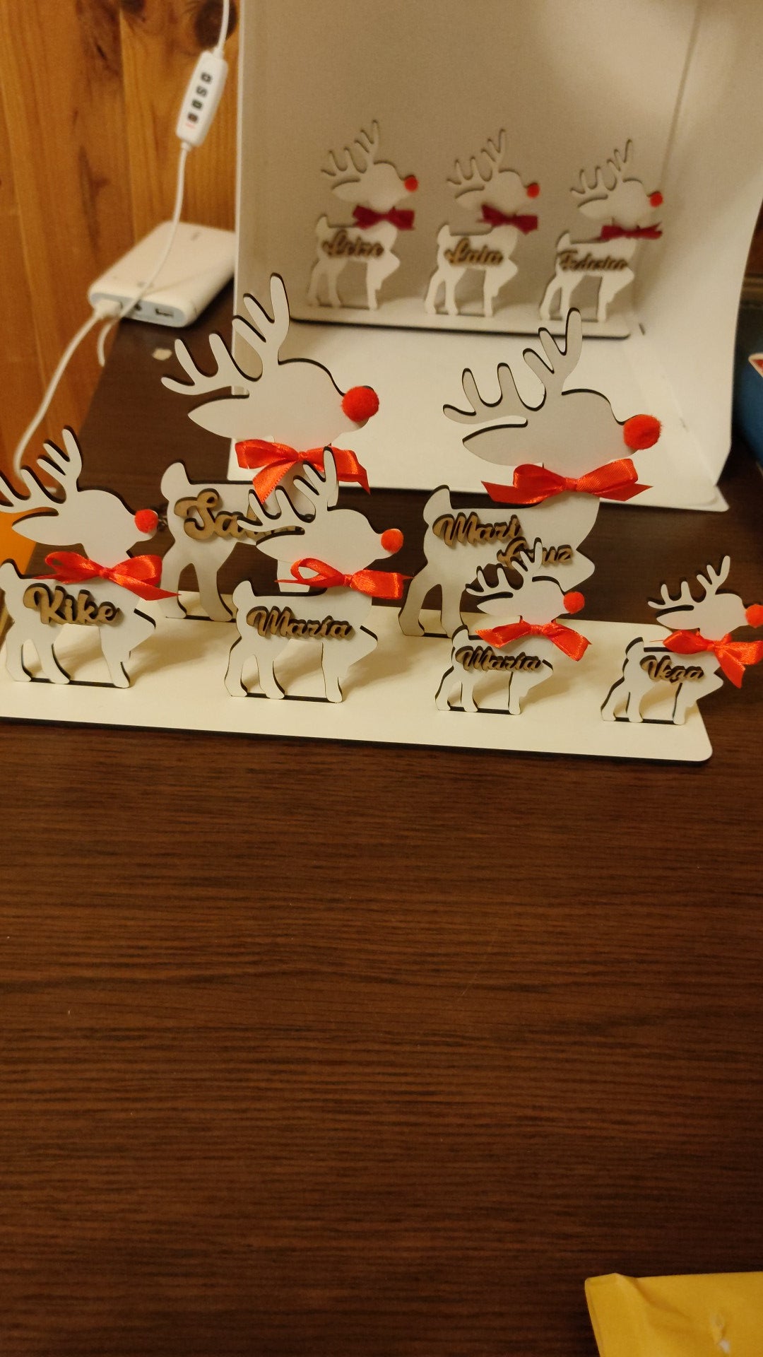 Reindeer family